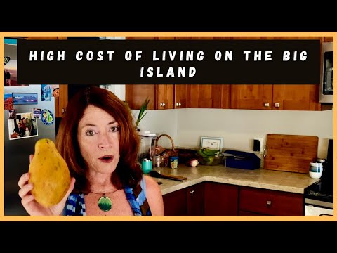 Read more about the article High Cost of Living on the Big Island