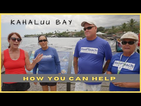 Read more about the article How to help Kahalu’u Bay- Learn about Coral Spawning And How YOUR sunscreen has an effect
