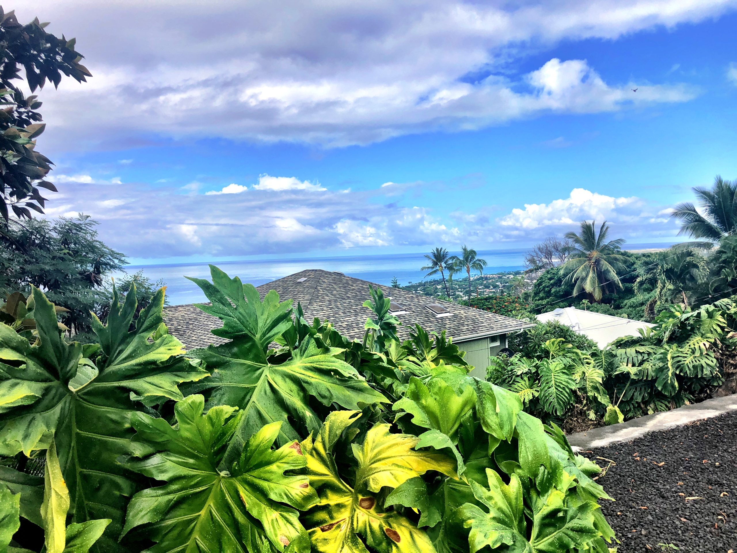 Read more about the article West Hawaii Real Estate Market Update-August 2021
