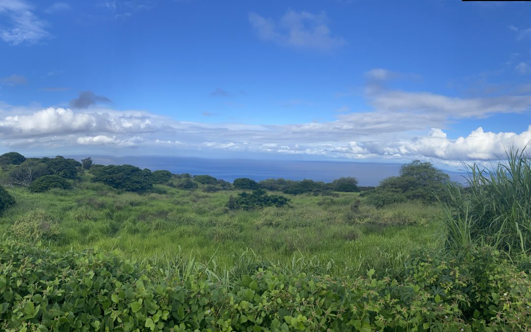 Let’s Talk About Buying Land on Hawaii Island