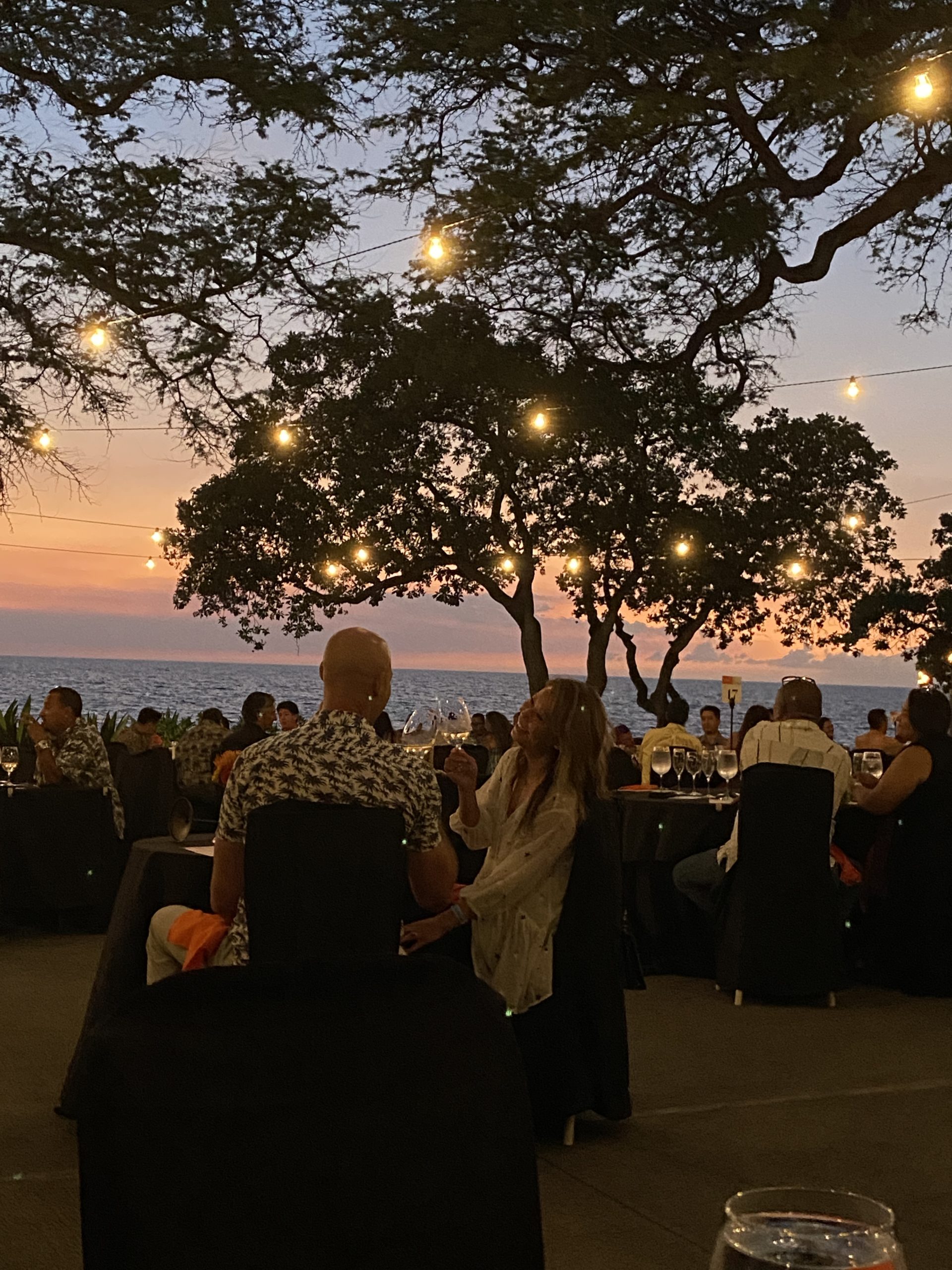 Read more about the article Hawaii Food and Wine Festival – A Spectacular Culinary Evening at the Mauna Kea