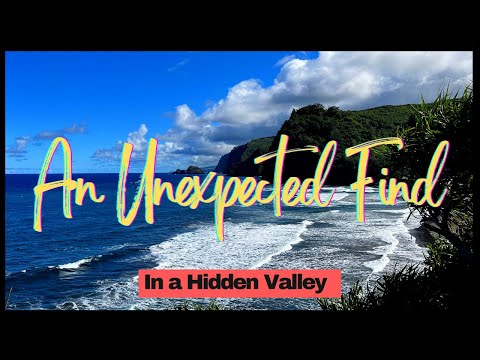 Read more about the article An Unexpected Find in a Hidden Valley