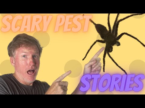 Read more about the article Scary Pest Stories