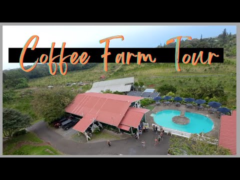 Read more about the article Kona Coffee Farm Tour Big Island – Heavenly Hawaiian