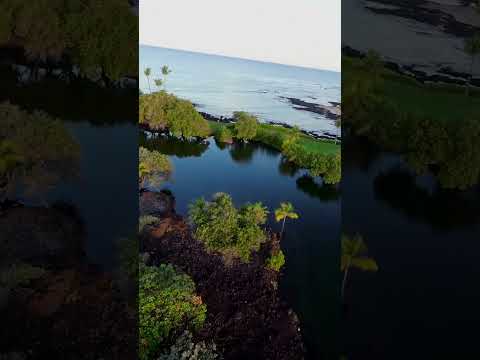 Read more about the article Mauna Lani Resort and Fishponds via Drone