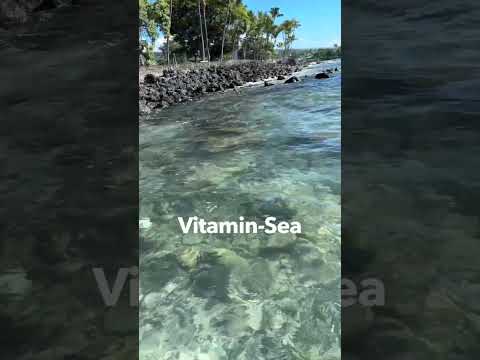 Read more about the article Vitamin  Sea #hawaii #beach #bluewater