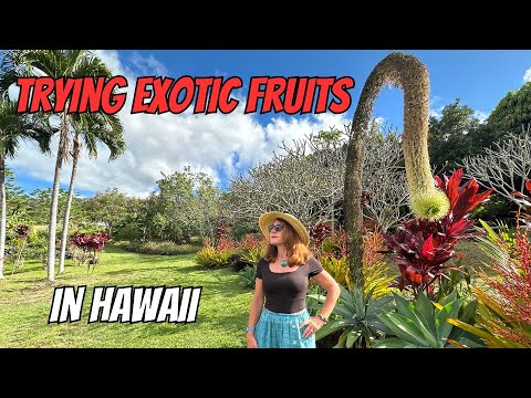 Read more about the article Discover Exotic Fruit in Hawaii