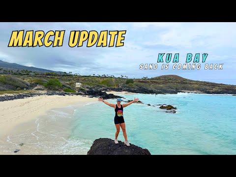 Read more about the article March 2024 Sand Update at Kua Bay