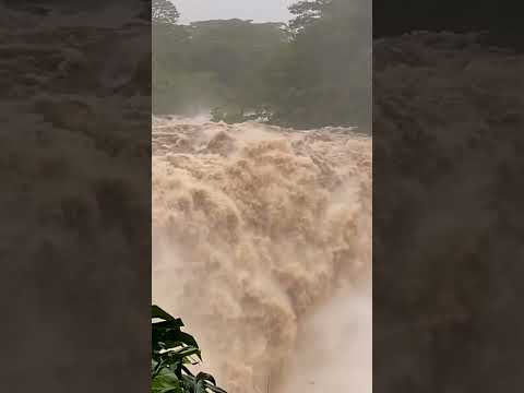 Read more about the article Rainbow Falls, During Hurricane Hone