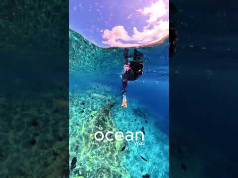 Read more about the article Into the Blue in Hawaii