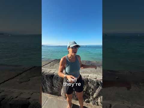Read more about the article Inside the Ironman Kona Coffee Boat – A Pre-Race Tradition Like No Other!