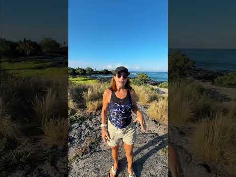 Read more about the article A Perfect November Snorkel Day in Kona 🌞🐟