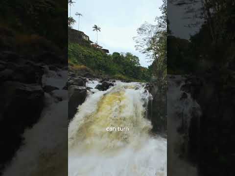 Read more about the article Wailuku River: Beauty and Power