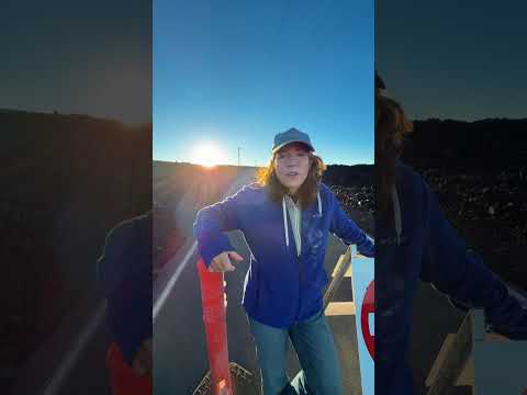 Read more about the article Mauna Loa Road