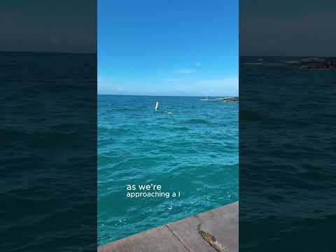 Read more about the article A Little Sunshine Before the Next System Hits Hawaii