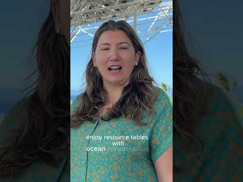 Read more about the article Race for the Reef: More Than a Run—It’s About Our Ocean